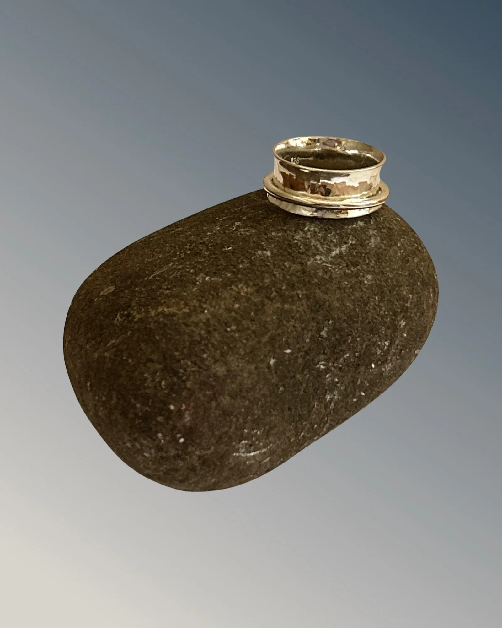 Silver With Silver Spinner Ring