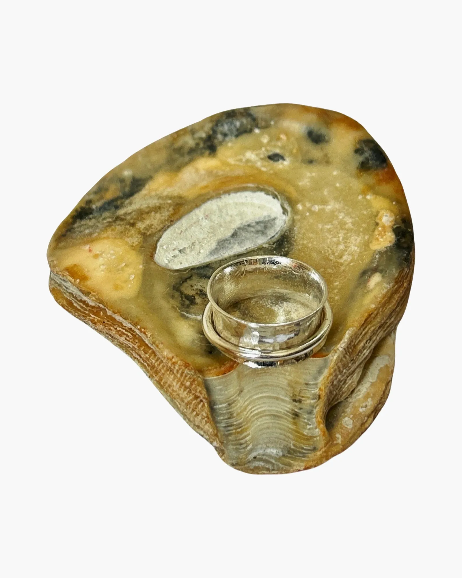 Silver With Silver Spinner Ring