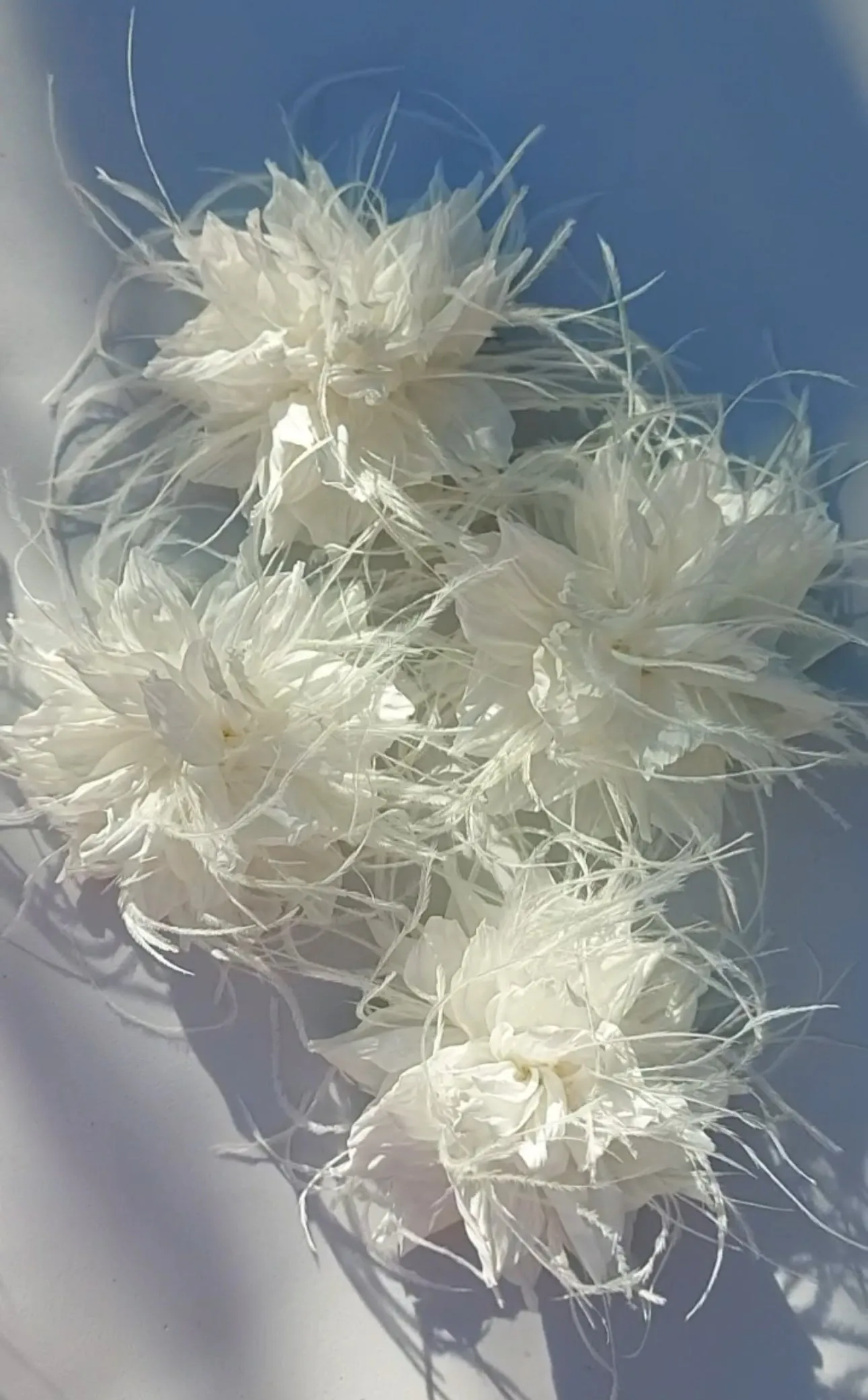 Xenia flower brooch with feathers